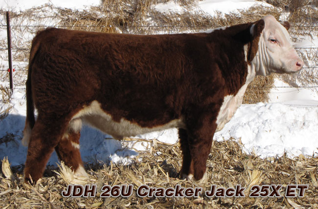 JDH 26U Cracker Jack 25X ET