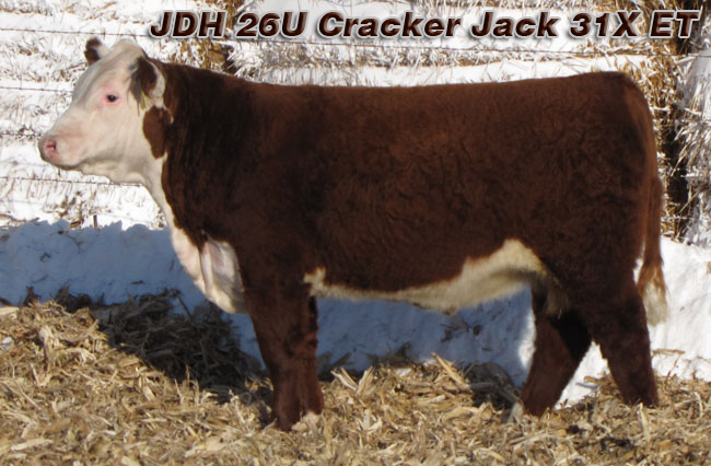 JDH 26U Cracker Jack 31X ET